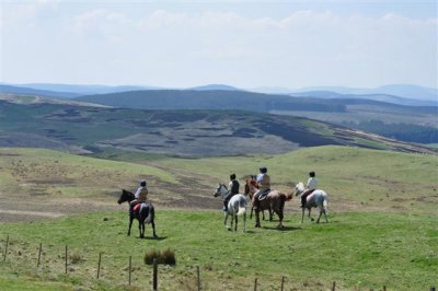 Hawick Common Riding 2010 - Philope Brig Rideout - Gaun