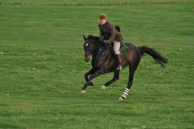 DSC_0168 Small.JPG