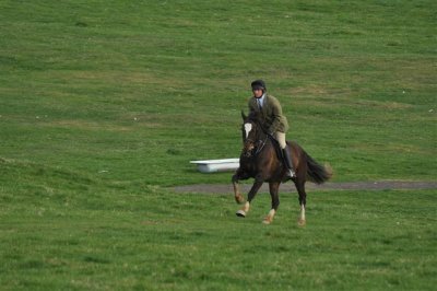DSC_0171 Small.JPG