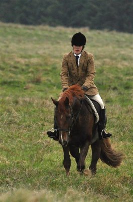 DSC_0115 Medium.JPG