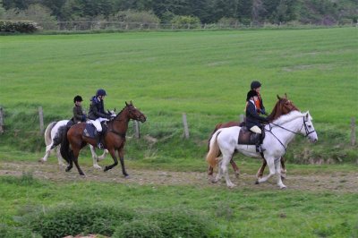 DSC_0200 Medium.JPG