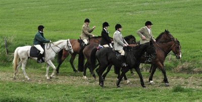 DSC_0204 Medium.JPG