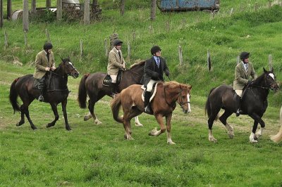 DSC_0208 Medium.JPG