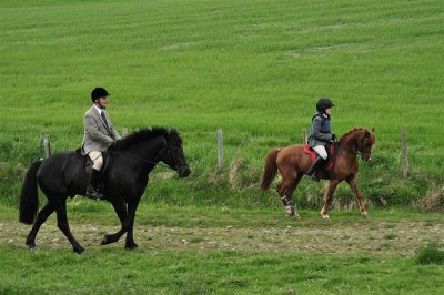DSC_0216 Medium.JPG