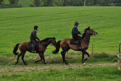 DSC_0245 Medium.JPG