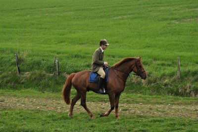 DSC_0251 Medium.JPG