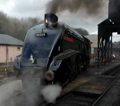 Coaled and ready for water 60009 Union of South Africa backs down the shed yard at Grosmont.jpg