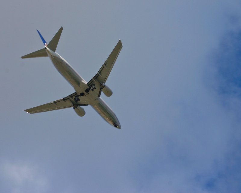 IMG0067.jpg