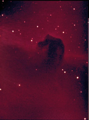 Horsehead01redu.bmp