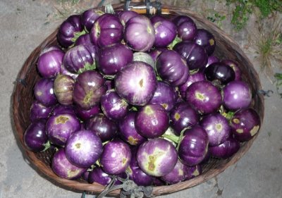 Vegetables for sale