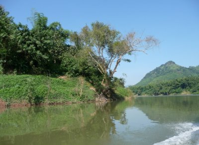 River scenery