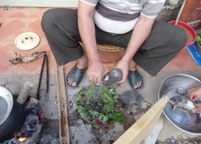 Preparing rat: 1. Dunk in pan of boiling water (left)