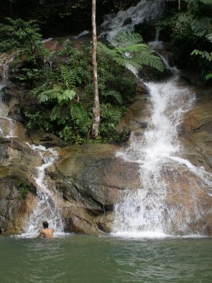 Pool, Templer Park