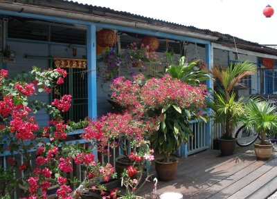 House and plants, Pulau Ketam