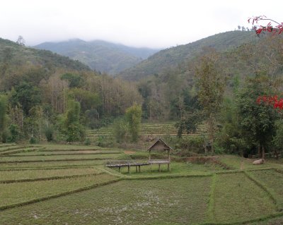 Fields behind Khamu Lodge