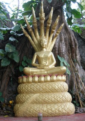 Buddha sitting on coiled snake - on Phou Si