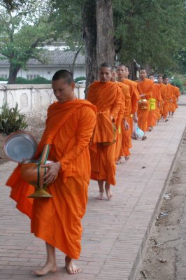 Monks collecting alms at 7 a.m.