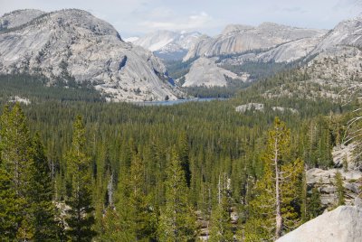 View North from Olmsted Point