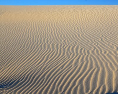 Mother Nature's Finger Prints White Sands