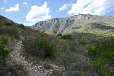 Guadalupe NP nature trail