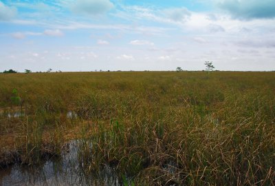 Everglades NP FL