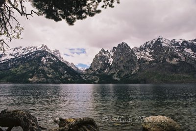 Jenny Lake