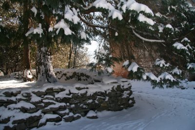 A Winter Walk at Blandy Farm