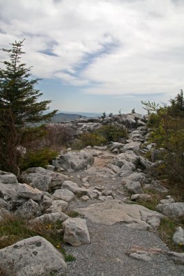 Rocky Path to Overlook