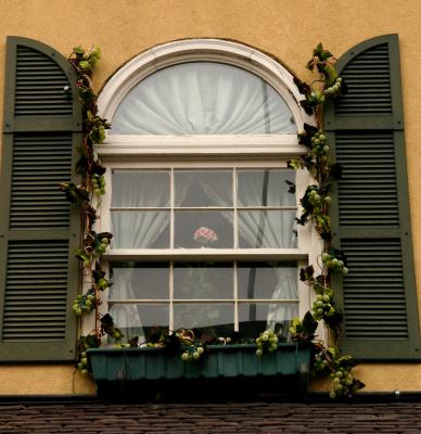 Window at Violino's