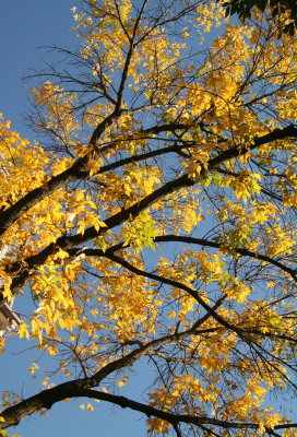 Autumn sky, Old Town.