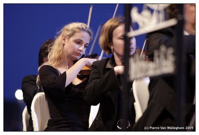 violon_2009_008.jpg