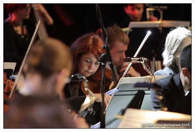 violon_2009_014.jpg