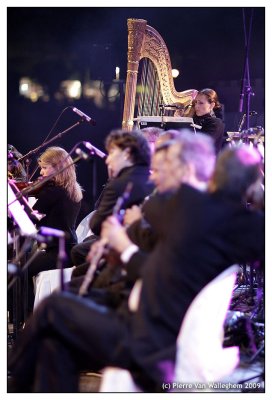 violon_2009_037.jpg