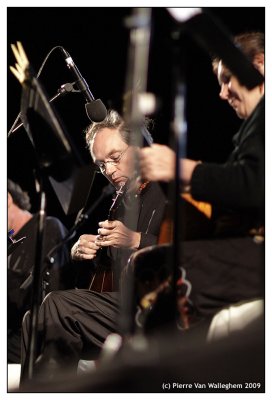 violon_2009_044.jpg