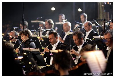 violon_2009_061.jpg