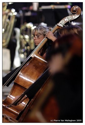 violon_2009_064.jpg