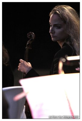 violon_2009_107.jpg