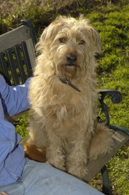 Sandy_2 Adopted!!!!