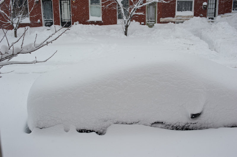DSC_8366.jpg