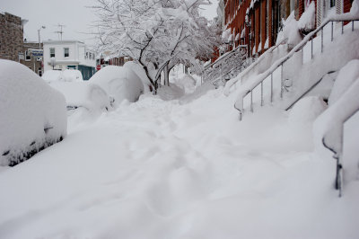 DSC_8637.jpg