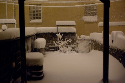 DSC_8312.jpg