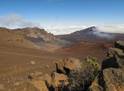 Halekala Crater looking West