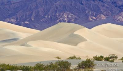 Sand Dunes in Death Valley