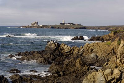 Lighthouse-123009-Piedras Blancas, CA, Pacific Ocean-#1180.jpg