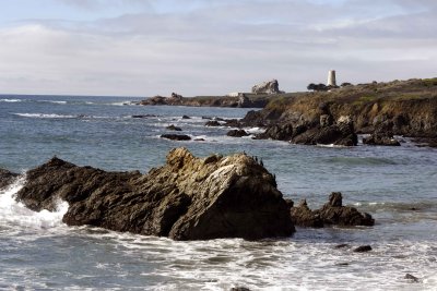 Lighthouse-123009-Piedras Blancas, CA, Pacific Ocean-#1254.jpg