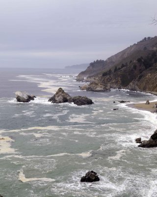 Pacific Coast-122809-Julia Pfeiffer Burns State Park, CA-#0292.jpg