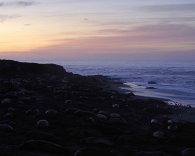 Sunrise-010210-Piedras Blancas, CA, Pacific Ocean-#0028.jpg