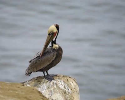 g3/40/624440/3/121877685.nd9xfW9V.jpg