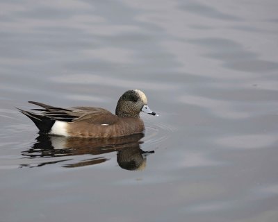 g3/40/624440/3/121877749.H6rAfpS4.jpg