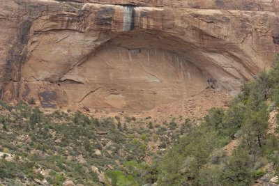 Rock Formation-050110-Zion Natl Park, UT-#0113.jpg